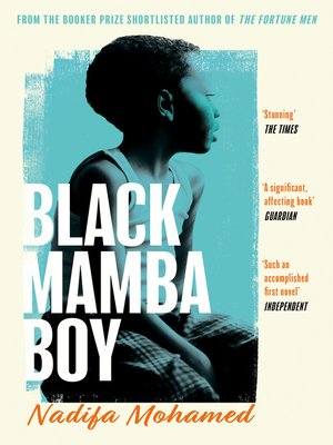 cover image of Black Mamba Boy